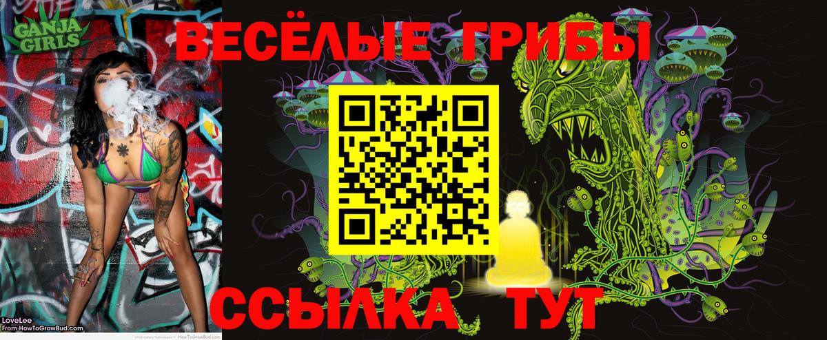 Псилоцибиновые грибы Psilocybe Симферополь