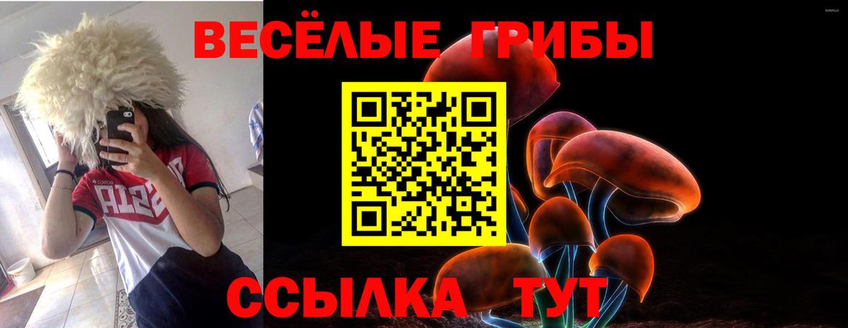 Симферополь  Псилоцибиновые грибы MAGIC MUSHROOMS  Вход с VPN 